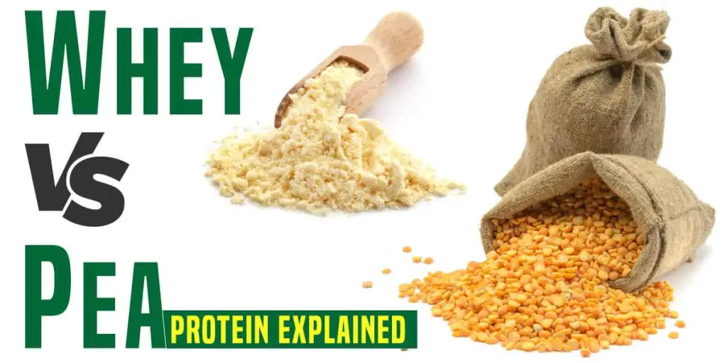 pea-protein-vs-whey
