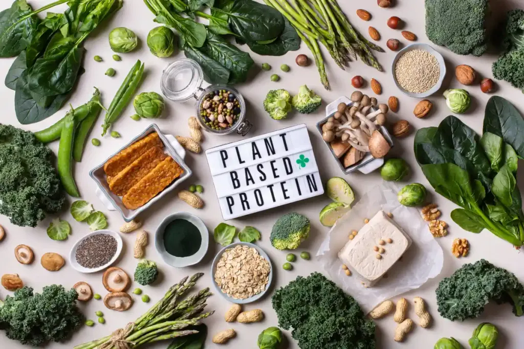 plant-based-protein