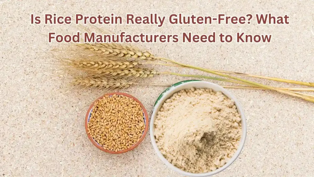 rice-protein-gluten-free