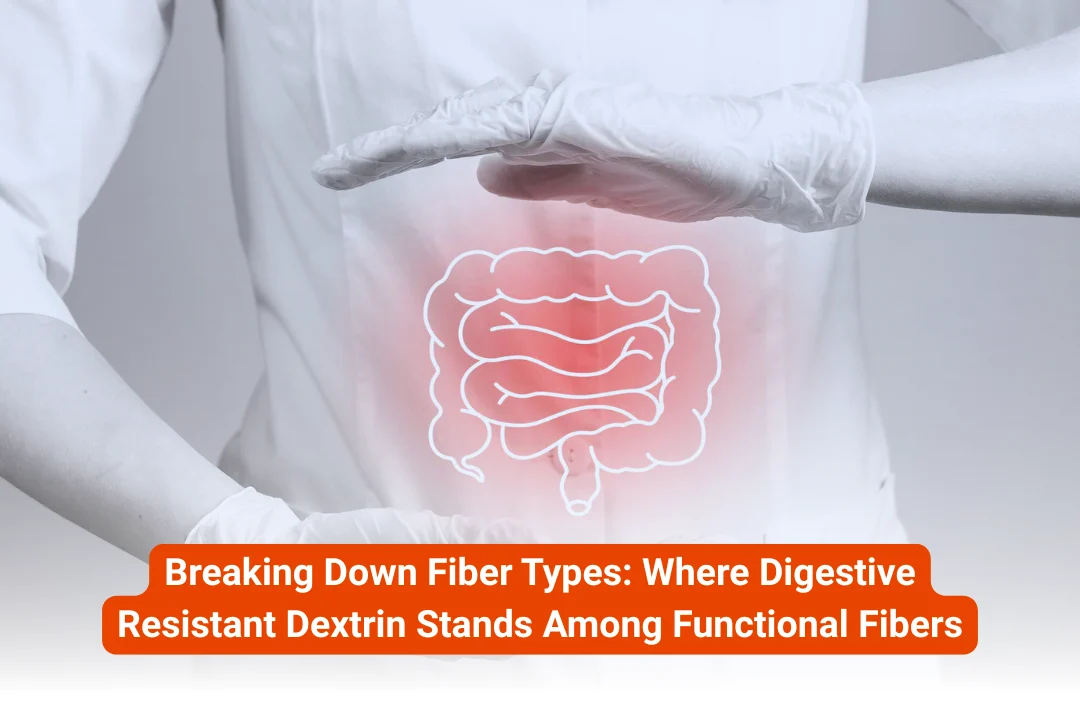 Breaking Down Fiber Types Where Digestive Resistant Dextrin Stands Among Functional Fibers