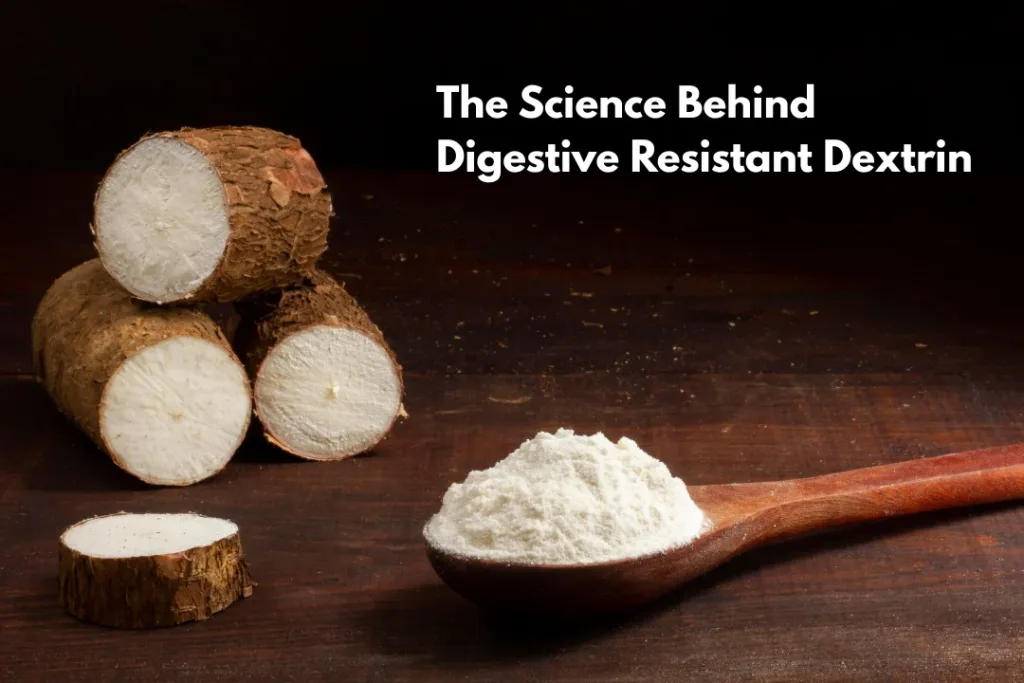 The Science Behind Digestive Resistant Dextrin Fermentation, Solubility, and Digestive Impact