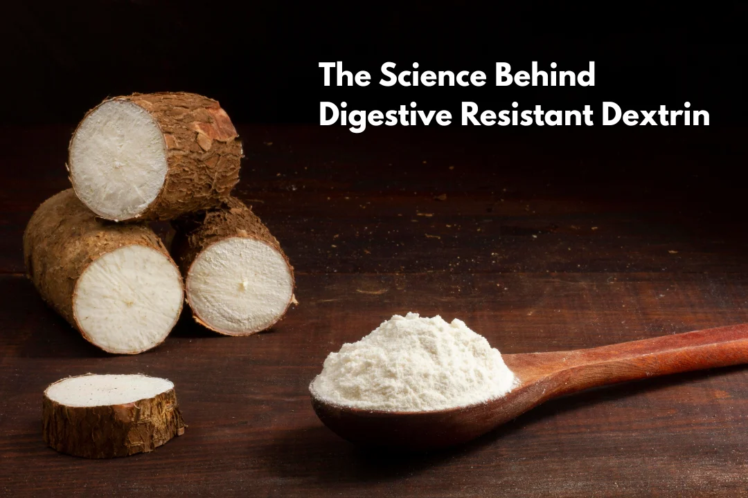 The Science Behind Digestive Resistant Dextrin Fermentation, Solubility, and Digestive Impact