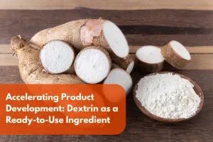 resistant dextrin as a ready to use ingredient