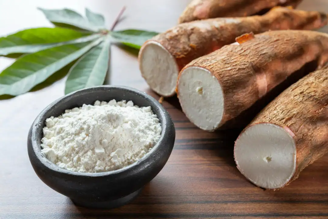 Market Trends 2025: Collagen and Dairy Powders Go Natural with SweetSential