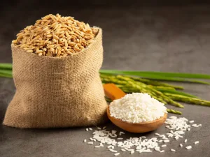 Digestibility & Allergenicity How Rice Protein Supports Sensitive Populations Compared to Other Plant Proteins