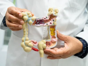 Personalized Gut-Fiber Responsiveness Why Some People Tolerate Resistant Dextrin Better and How to Segment Product Strategy