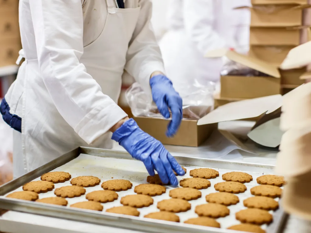 Yellow Pea Protein Market Insights Positioning Satoria Nutrisentials as Your Strategic Ingredient Partner