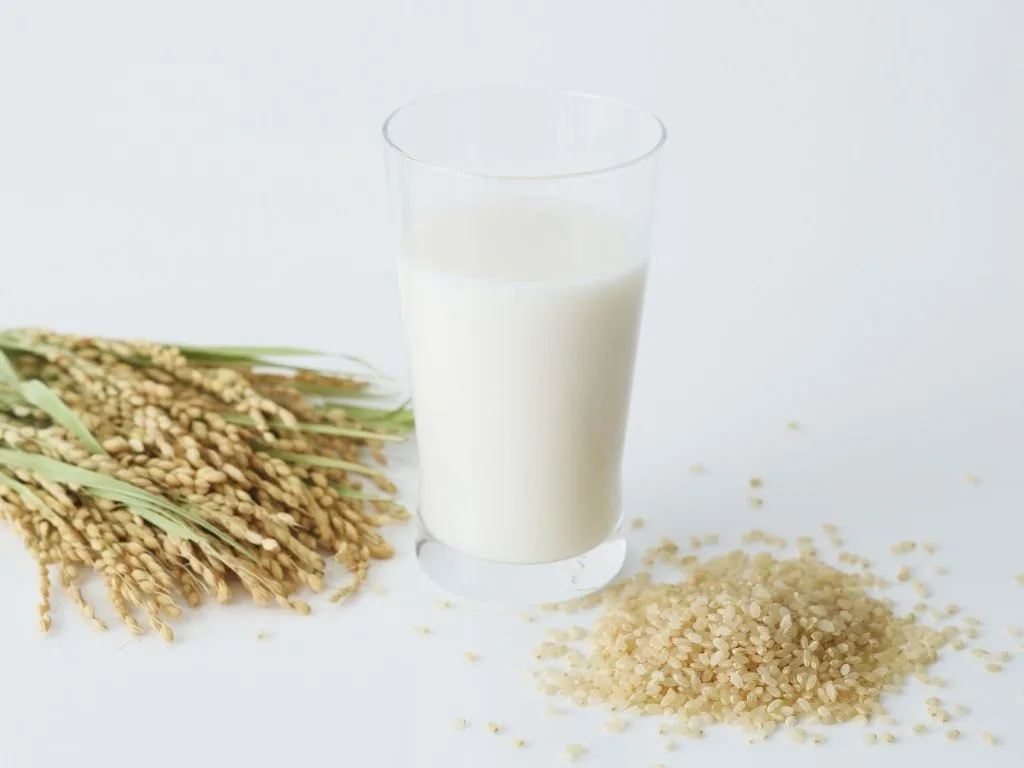 Rice Protein Market Opportunities, Challenges & Innovation Pathways for Modern Food & Beverage Manufacturers 2