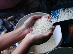 Does Rice Have Protein A Practical Guide for Food & Beverage Manufacturers