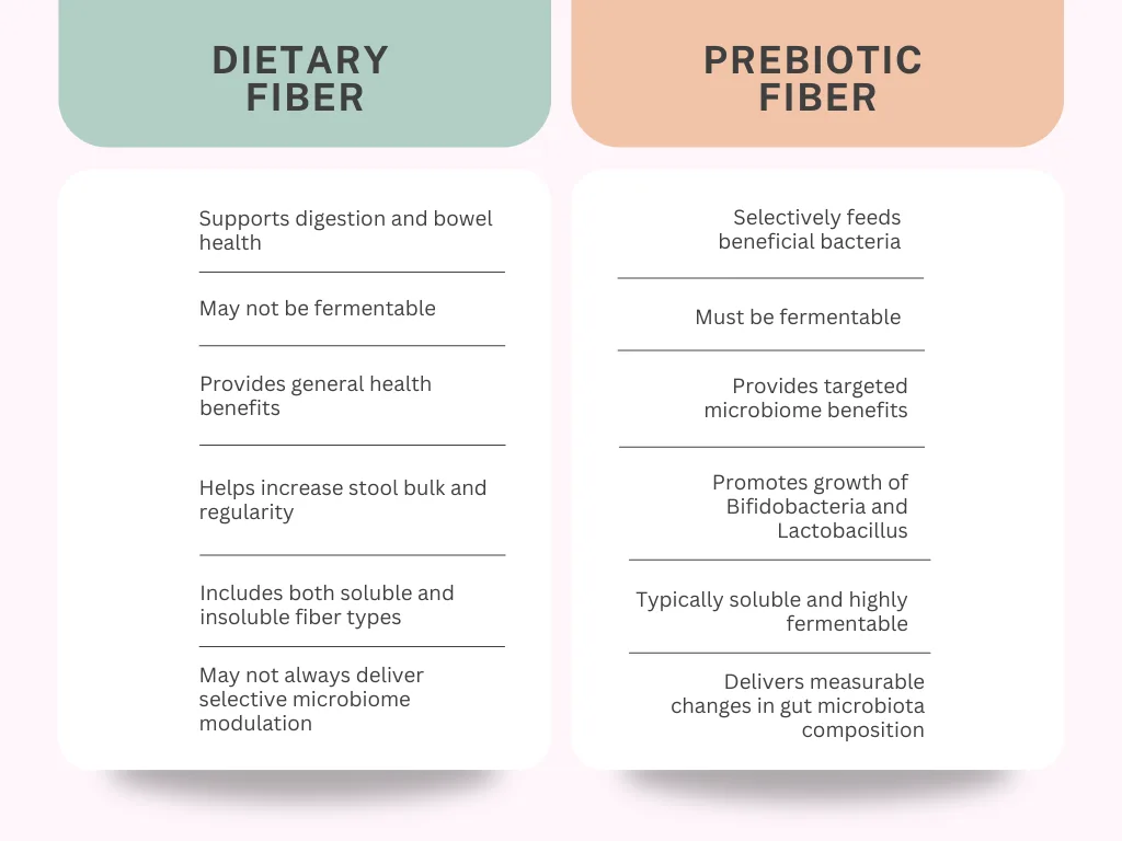Explanation About Prebiotic A Practical Guide for Food & Beverage Manufacturers 2