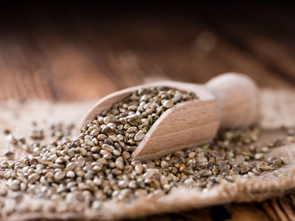 Hemp Seed and Rice Isolate Protein A Strategic Plant-Based Protein Solution for Modern Food & Beverage Manufacturing