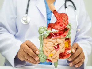 Indigestible Dextrin Side Effects What Manufacturers and Formulators Need to Know Before Product Development