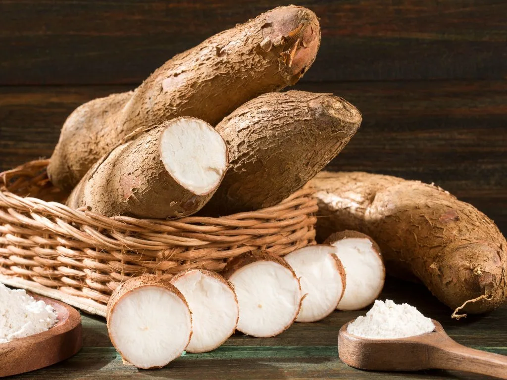 Tapioca Syrup Benefits in Food Manufacturing Functional Advantages for Modern Clean-Label Formulations