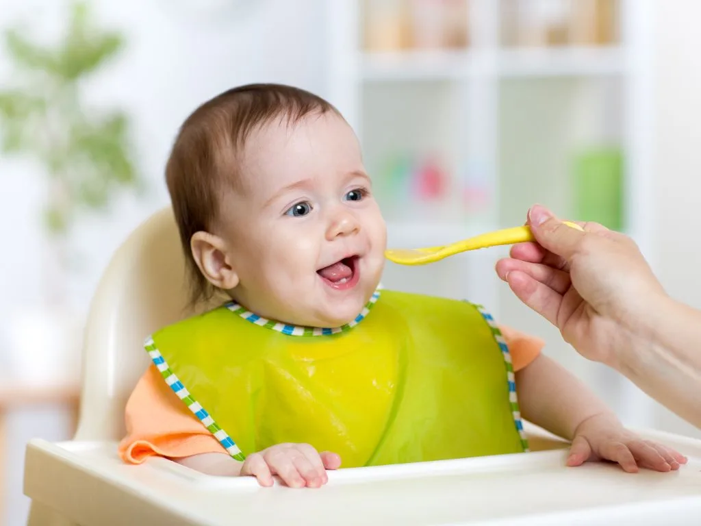 Plant-Based Protein Ingredient for Baby Food Formulation A Complete Guide for Modern Nutrition Innovation