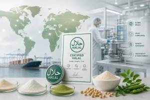 Why Choosing a Halal Certified Food Ingredient Manufacturer Matters More Than Ever