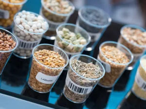 Resistant Starch vs Resistant Dextrin Which Fiber Is Right for Your Formulation