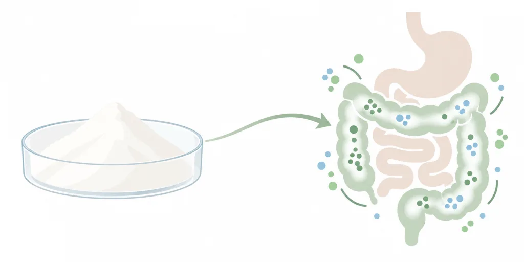 Puffed Rice Snack & Rice Cake Fortification A B2B Formulator's Guide to Functional Ingredients 2